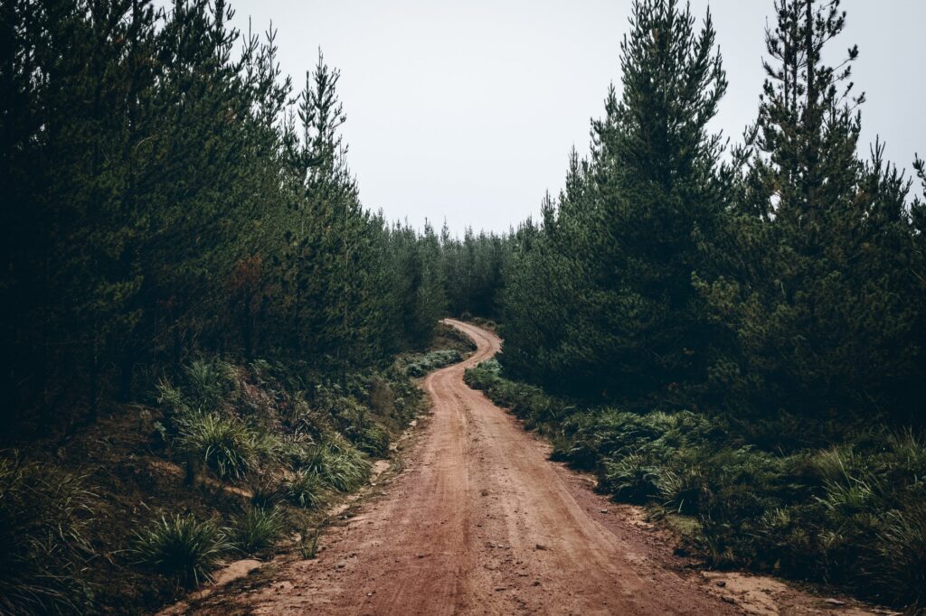 Driving Rough Conditions Top Driving Tips for A Safe Trip on Rough Road Conditions - carsoid.net