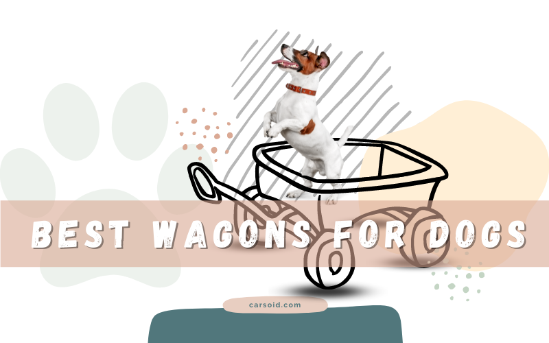 Pet Stroller and Wagon Options