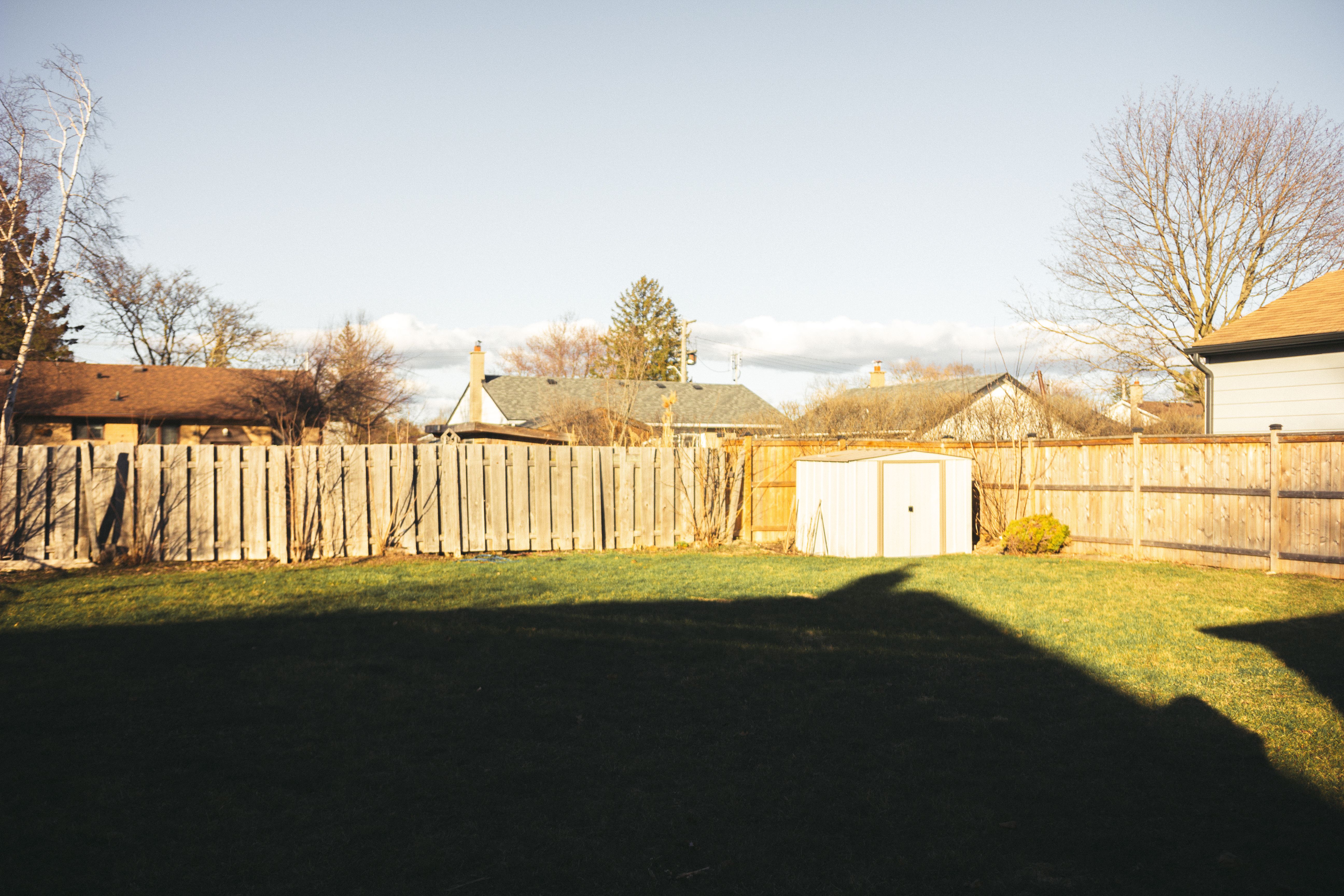 Backyard boundary with a wooden privacy fence, lawn, and shed, representing solid fencing used to screen a property.
